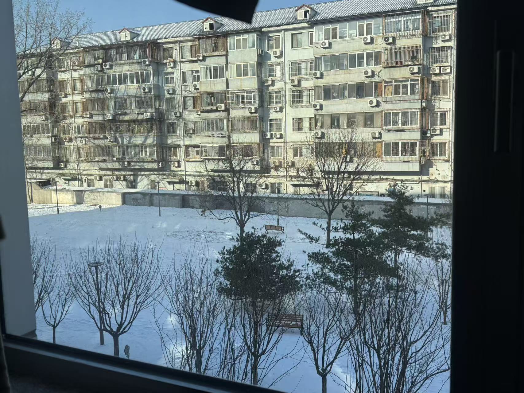 [炽吾生平]初雪记